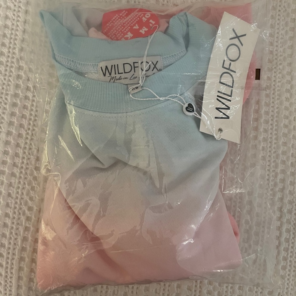 Wildfox Guava Ombre Sommers Sweater